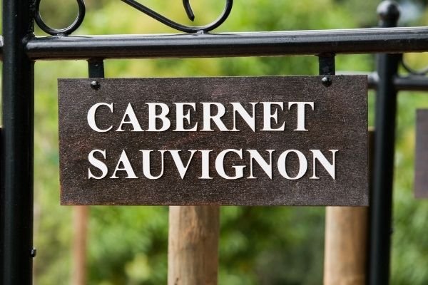 what does cabernet sauvignon taste like